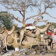Darfur Now - galeria zdjęć - filmweb