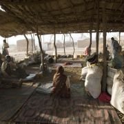 Darfur Now - galeria zdjęć - filmweb