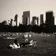 Central Park - galeria zdjęć - filmweb