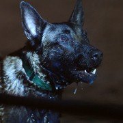 Ar putām uz lūpām - galeria zdjęć - filmweb
