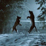 Ar putām uz lūpām - galeria zdjęć - filmweb