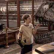 Mój brat ściga dinozaury - galeria zdjęć - filmweb