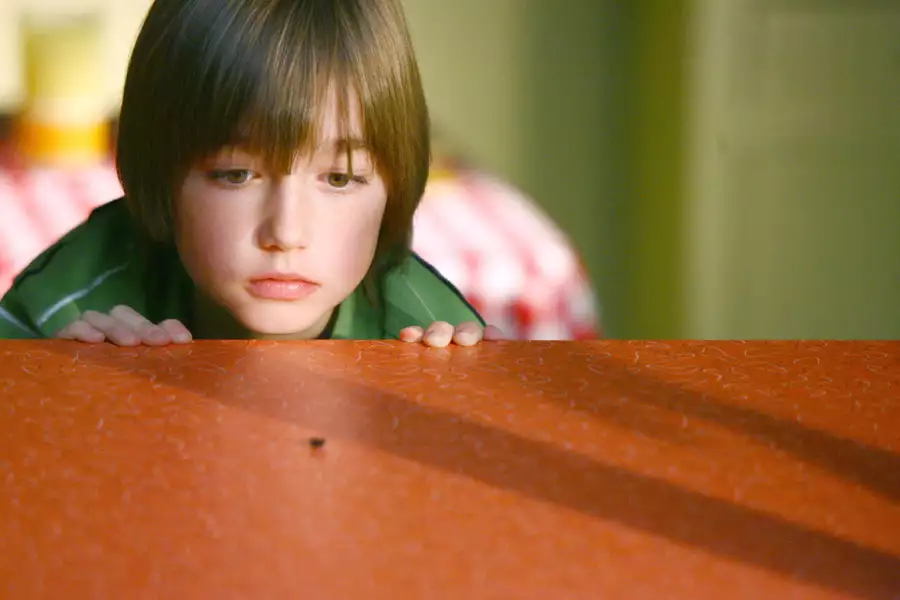 Gdzie pachną stokrotki - galeria zdjęć - filmweb