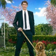 Pushing Daisies - galeria zdjęć - filmweb
