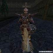 The Elder Scrolls III: Tribunal - galeria zdjęć - filmweb