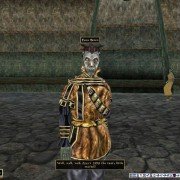 The Elder Scrolls III: Tribunal - galeria zdjęć - filmweb