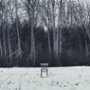 Grudzień - galeria zdjęć