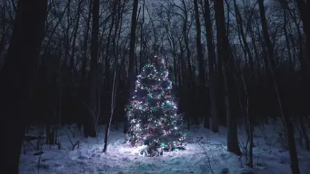 Grudzień - galeria zdjęć - filmweb