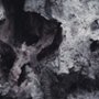 Grudzień - galeria zdjęć