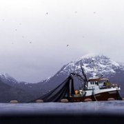 Secrets of the Whales - galeria zdjęć - filmweb