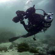 Secrets of the Whales - galeria zdjęć - filmweb
