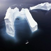 Secrets of the Whales - galeria zdjęć - filmweb