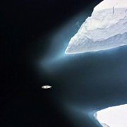 Secrets of the Whales - galeria zdjęć - filmweb