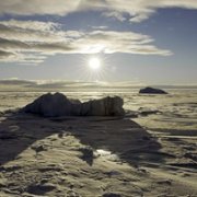 Secrets of the Whales - galeria zdjęć - filmweb