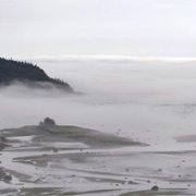 Secrets of the Whales - galeria zdjęć - filmweb