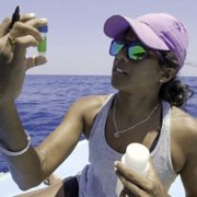 Secrets of the Whales - galeria zdjęć - filmweb