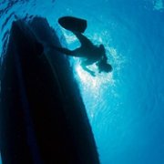 Secrets of the Whales - galeria zdjęć - filmweb