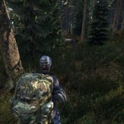 DayZ - galeria zdjęć - filmweb