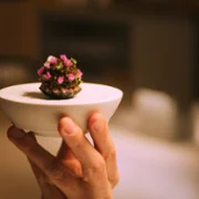 Na ostrzu noża: w pogoni za Gwiazdkami Michelin - galeria zdjęć - filmweb
