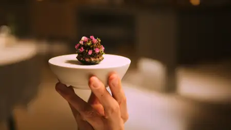 Na ostrzu noża: w pogoni za Gwiazdkami Michelin - galeria zdjęć - filmweb