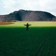 Wild Side - galeria zdjęć - filmweb