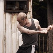 Tyranozaur - galeria zdjęć - filmweb
