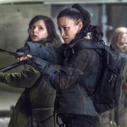 The Walking Dead - galeria zdjęć - filmweb
