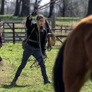 The Walking Dead - galeria zdjęć - filmweb