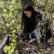 The Walking Dead - galeria zdjęć - filmweb