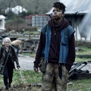 The Walking Dead - galeria zdjęć - filmweb