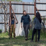 The Walking Dead - galeria zdjęć - filmweb