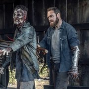 The Walking Dead - galeria zdjęć - filmweb