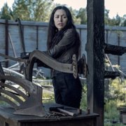The Walking Dead - galeria zdjęć - filmweb