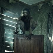 The Walking Dead - galeria zdjęć - filmweb