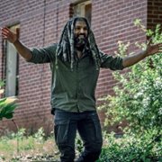 The Walking Dead - galeria zdjęć - filmweb