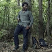 The Walking Dead - galeria zdjęć - filmweb