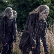 The Walking Dead - galeria zdjęć - filmweb