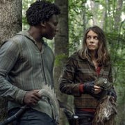 The Walking Dead - galeria zdjęć - filmweb
