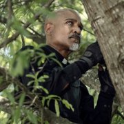 The Walking Dead - galeria zdjęć - filmweb