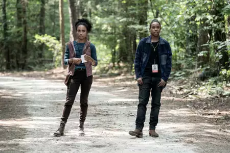 The Walking Dead - galeria zdjęć - filmweb