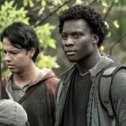 The Walking Dead - galeria zdjęć - filmweb