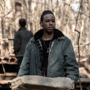 The Walking Dead - galeria zdjęć - filmweb