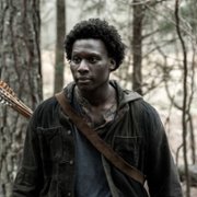 The Walking Dead - galeria zdjęć - filmweb