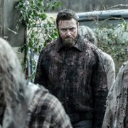 The Walking Dead - galeria zdjęć - filmweb