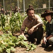 The Walking Dead - galeria zdjęć - filmweb