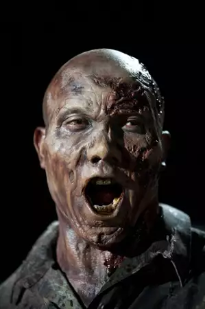 The Walking Dead - galeria zdjęć - filmweb