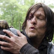 The Walking Dead - galeria zdjęć - filmweb