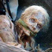 The Walking Dead - galeria zdjęć - filmweb