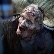 The Walking Dead - galeria zdjęć - filmweb