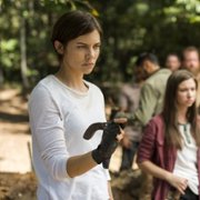 The Walking Dead - galeria zdjęć - filmweb